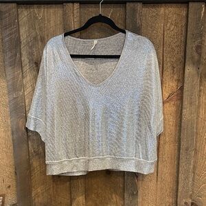 Tyche Shimmering Silver V-Neck Blouse